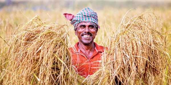 কৃষিতে নেই নিরাপত্তা নেট, দরকার কৃষি কমিশন